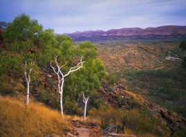 MacDonnell Ranges Station