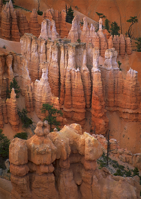 Hoodoos, Bryce Canyon National Park, Utah, United States of America
