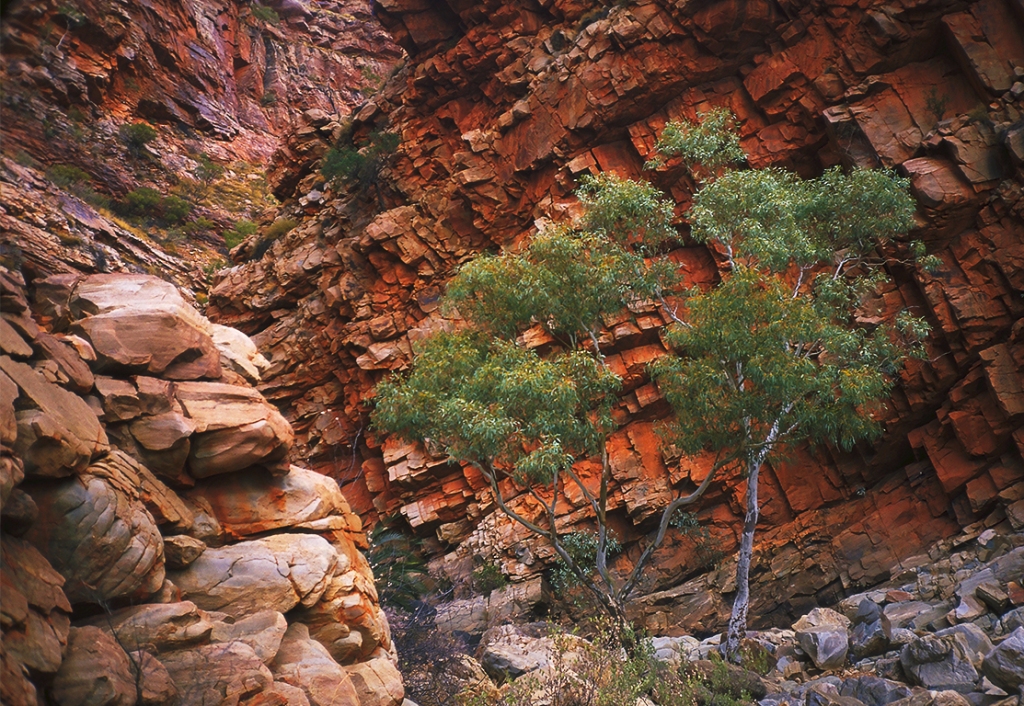 McDonnell Ranges, The Mereenie Loop, Northern Territory, Australia