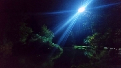 Light in the Darkness, Central Park, Burnaby, British Columbia, Canada