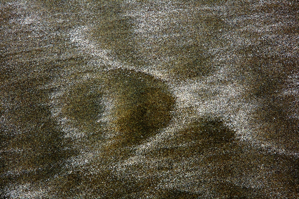 Broken Shells and Sand, South Chesterman Beach, Tofino, British Columbia, Canada