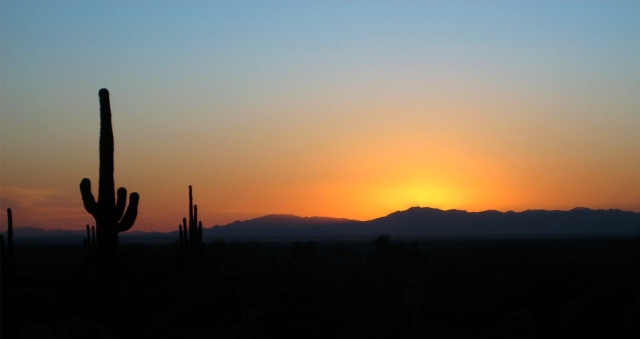 Saguaro Sunset, Superstition Mountains, Mesa, Arizona, United States of America