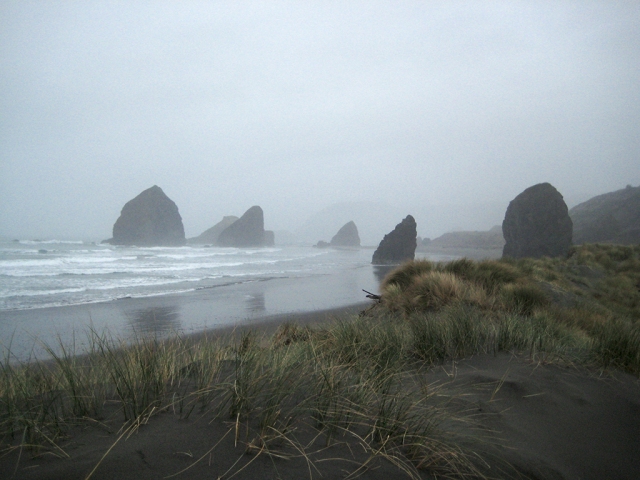 Misty Shoreline, Cannon Beach, Pacific Coast Highway, Oregon, United States of America