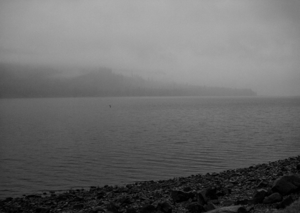 Fog Shroud, Oregon, United States of America