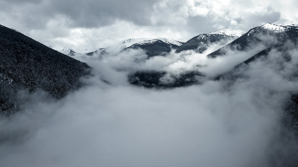 Fitzsimmons Valley, Peak z Peak Gondola, Whistler, British Columbia, Canada