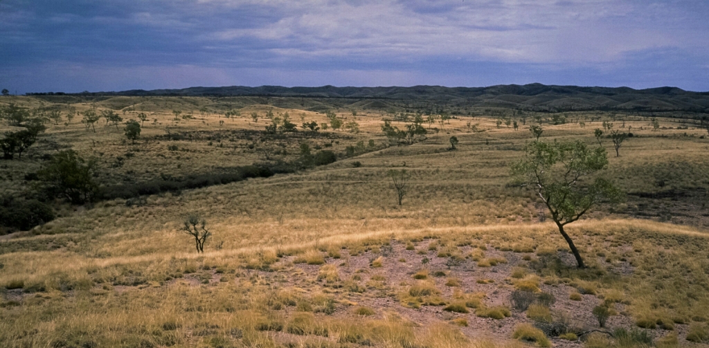The Mereenie Loop, Grassland, Near Gosse Bluff, Northern Territory, Australia