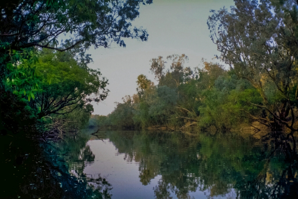 Tranquil River, Murray Falls National Park, Queensland, Australia