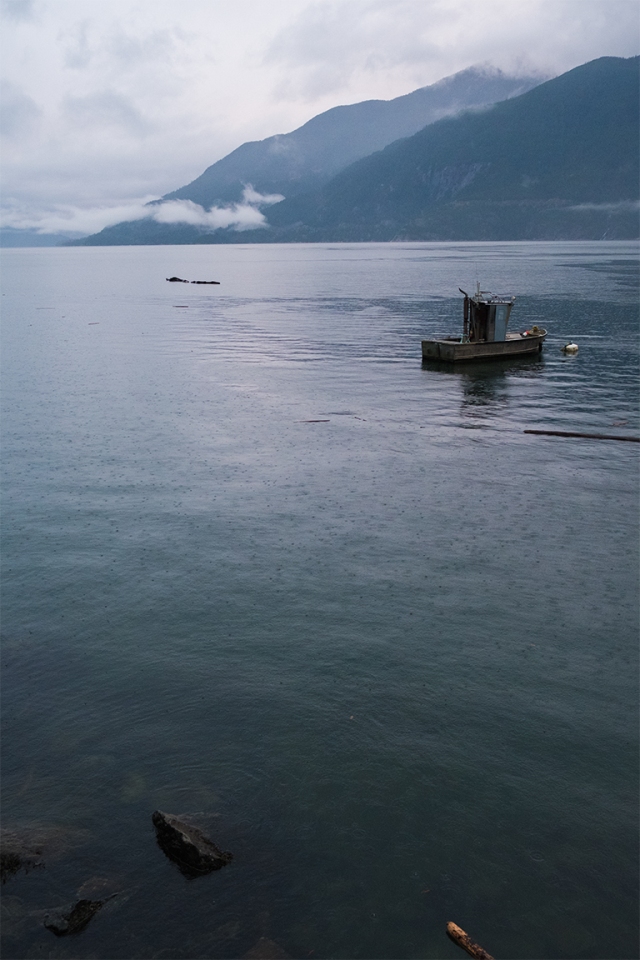 Boat Moored in the Sound, Howe Sound, Sea to Sky Highway, British Columbia, Canada