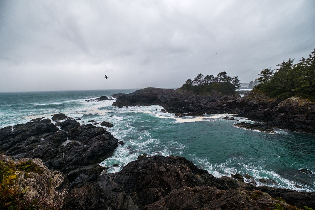 Amphitrite Point, Wild Pacific Trail, Ucluelet, Vancouver Island, British Columbia, Canada
