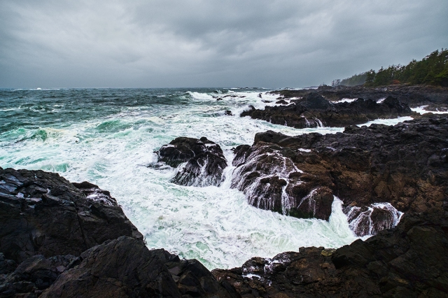 Wild Pacific, Wild Pacific Trail, Ucluelet, Vancouver Island, British Columbia, Canada