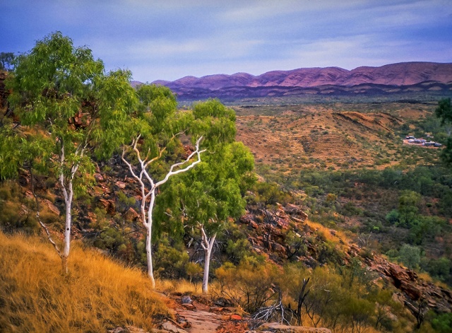 Ghost Gums MacDonnell Ranges Station, Northern Territory, Australia