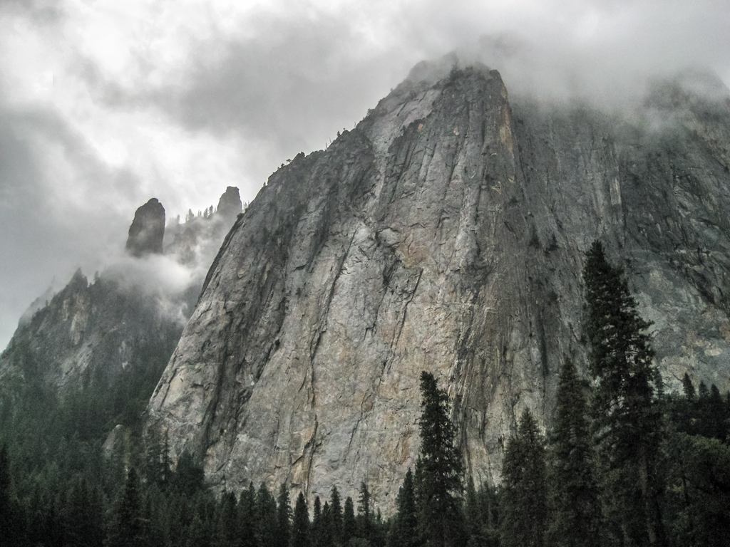 Granite and Conifers, Yosemite National Park, California, United States of America