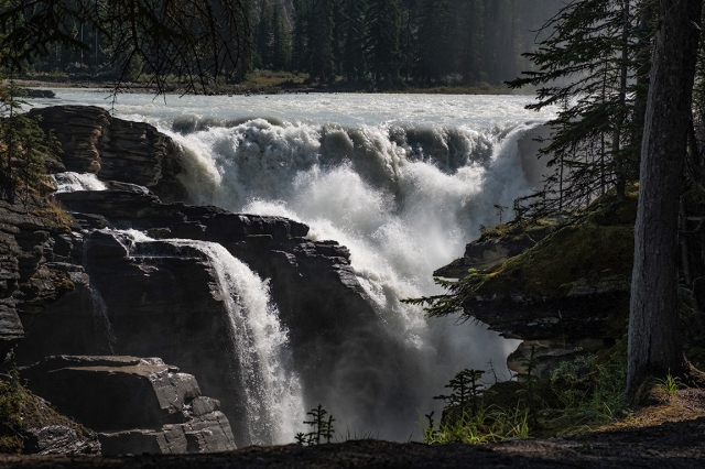 falling, athabasca falls, athabasca river, jasper national park, alberta, canada ii