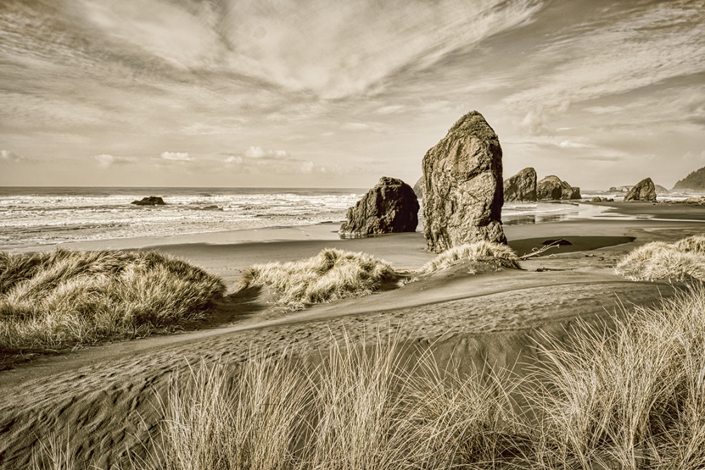 Coastal Textures, Gold Beach, Oregon Coast Highway, Oregon, United States of America