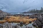 Island of Life, Rocky Bluffs, Wild Pacific Trail, Ucluelet, British Columbia, Canada