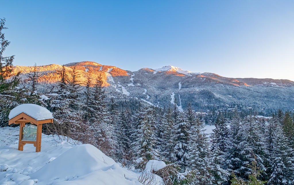 Winter Sun & Snow, Whistler Mountain, Whistler, British Columbia, Canada