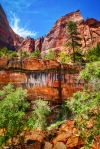 Barely a Trickle, Emerald Pools Trail, Zion National Park, Utah, United States of America