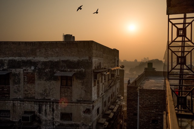 Pigeons in a Hot Sky, Red Fort, from Tara Palace Hotel, Chandni Chowk, New Delhi, India